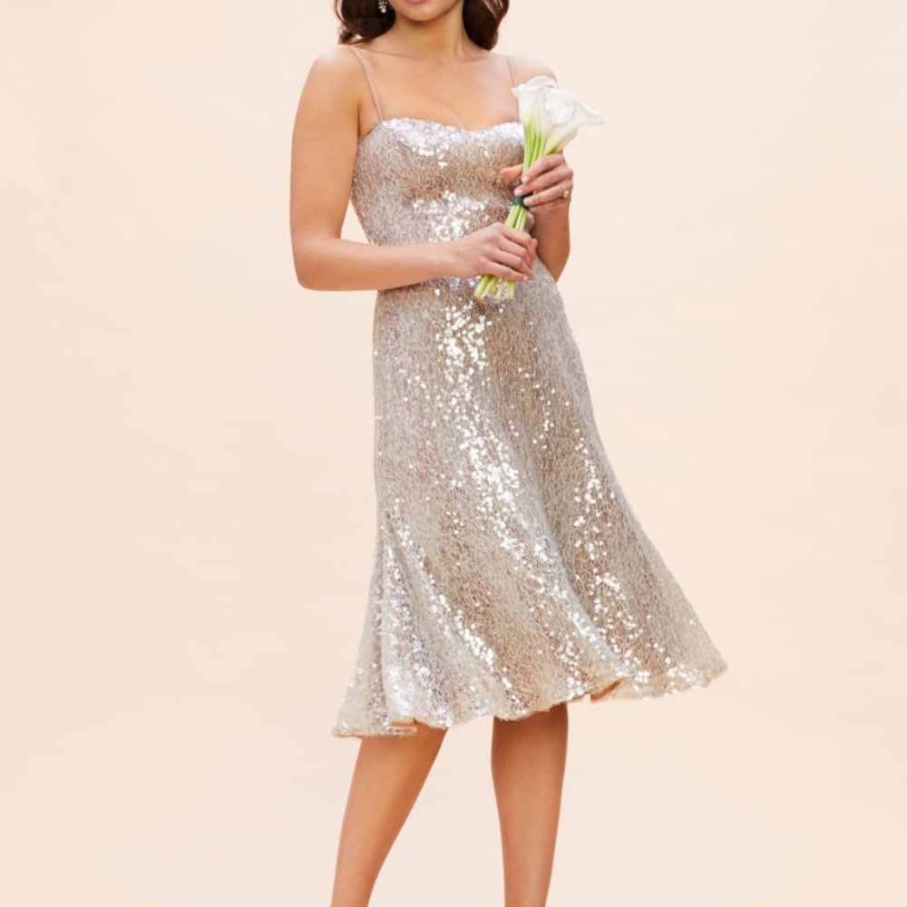 NWT Dress The Population #721 Sequins Lace Dress